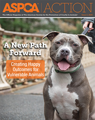 Issue #2, 2023