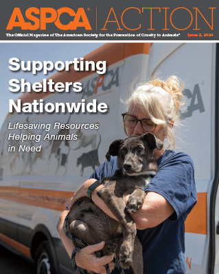 Issue #2, 2024