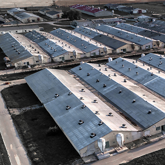 factory farm