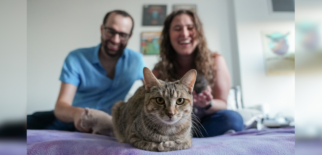 cat laying on bed with adopters