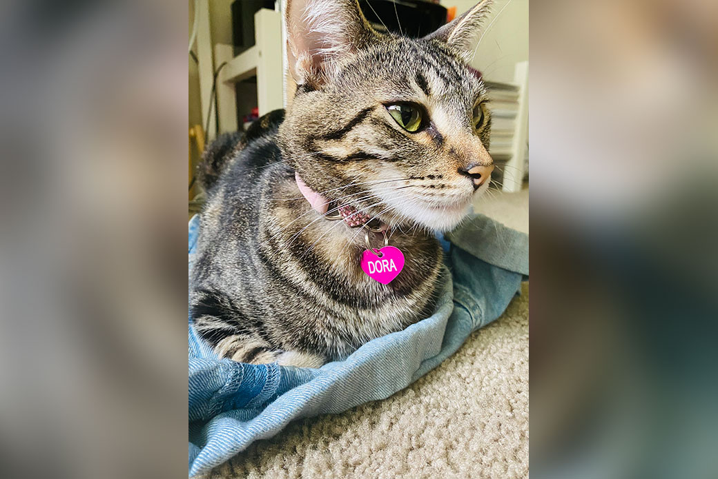 Dora